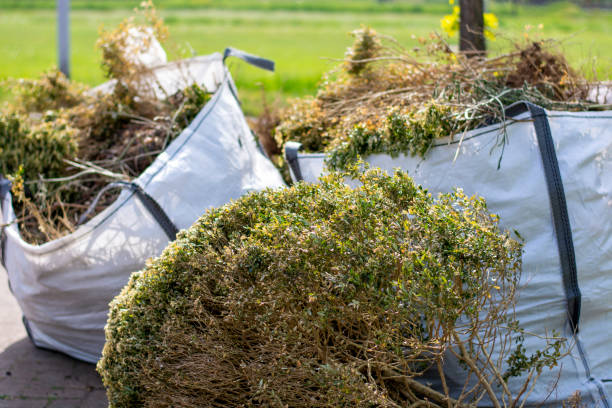 Professional Junk Removal Services in De Kal, TX